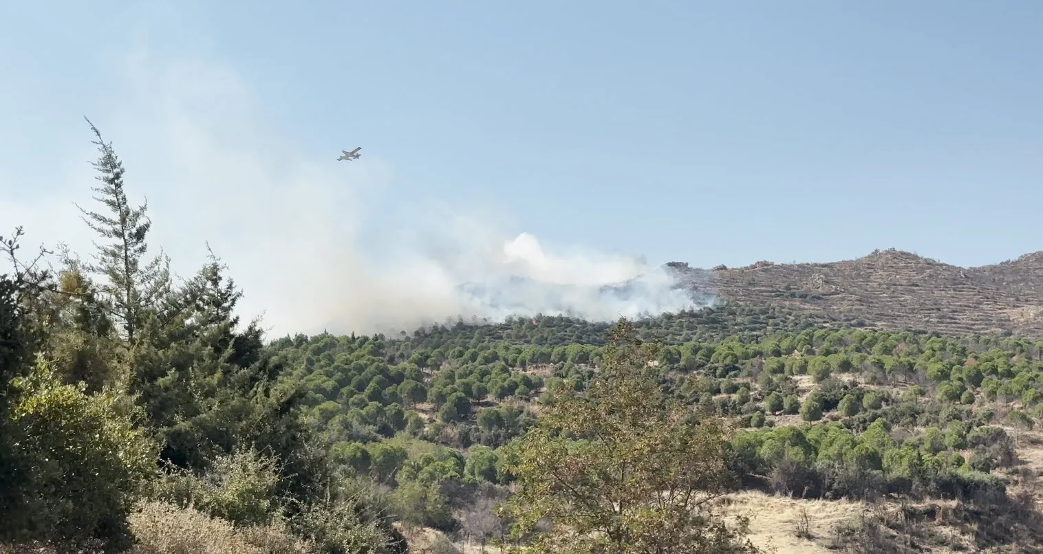 Ödemiş'te orman yangını Alevlere havadan ve karadan müdahale sürüyor