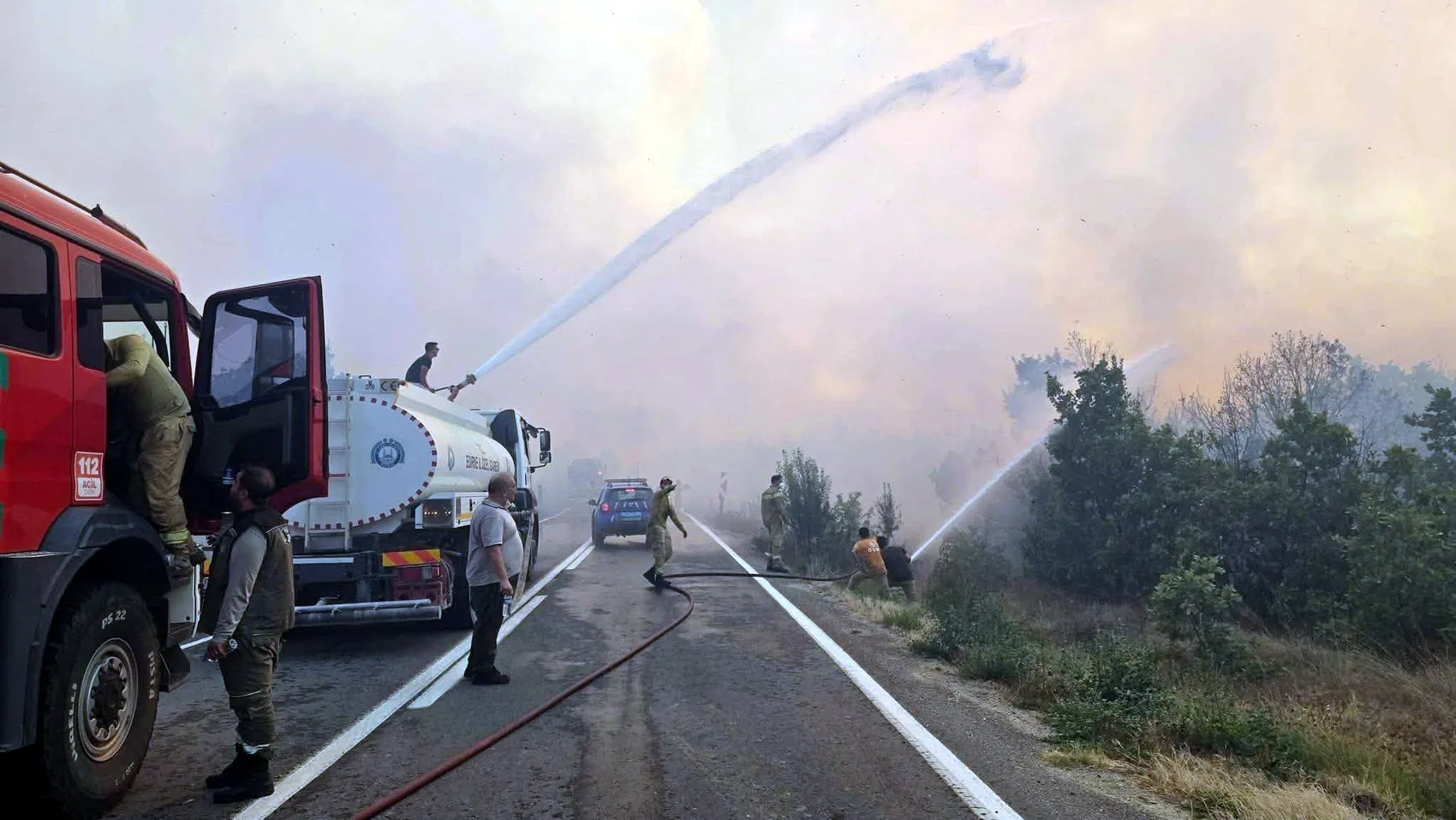 Edirne Meriç'te orman yangını paniği kontrol altına alındı