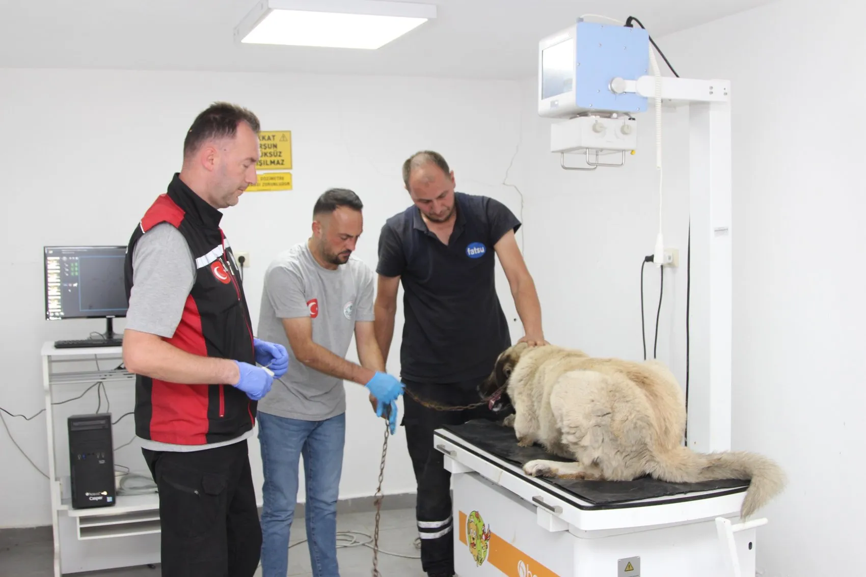 Giresun'da ciple köpeği ezen sürücü yakalandı