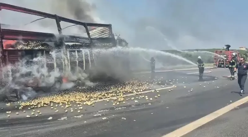 Adana otoyolunda tamir halindeki şoföre kamyon çarptı