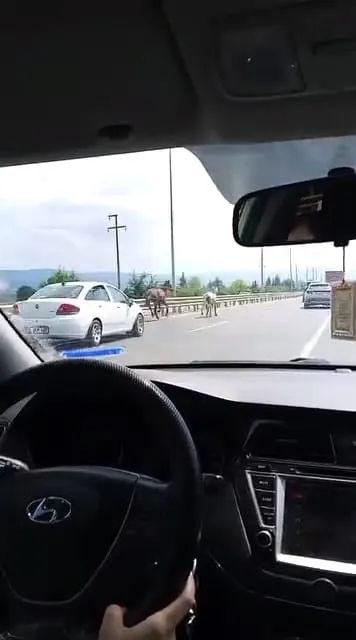 İnegöl yolunda trafik durma noktasına geldi