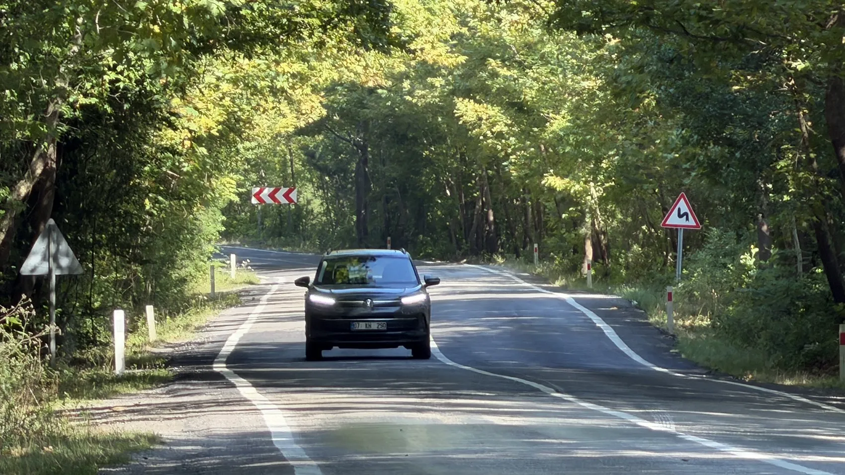 Bartın'da doğanın oluşturduğu o meşhur ağaç tünel yolu