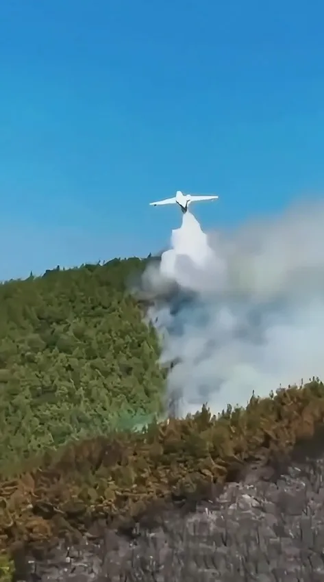 Balıkesir Susurluk’ta orman yangını 22 saat sonra söndürüldü