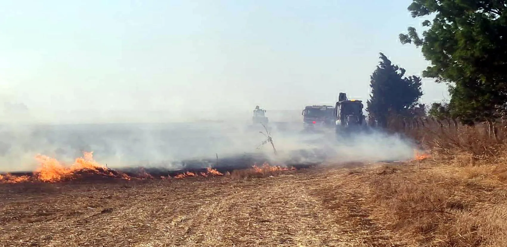 Tekirdağ'da anız yangını 7 bin dönümlük alanı küle çevirdi
