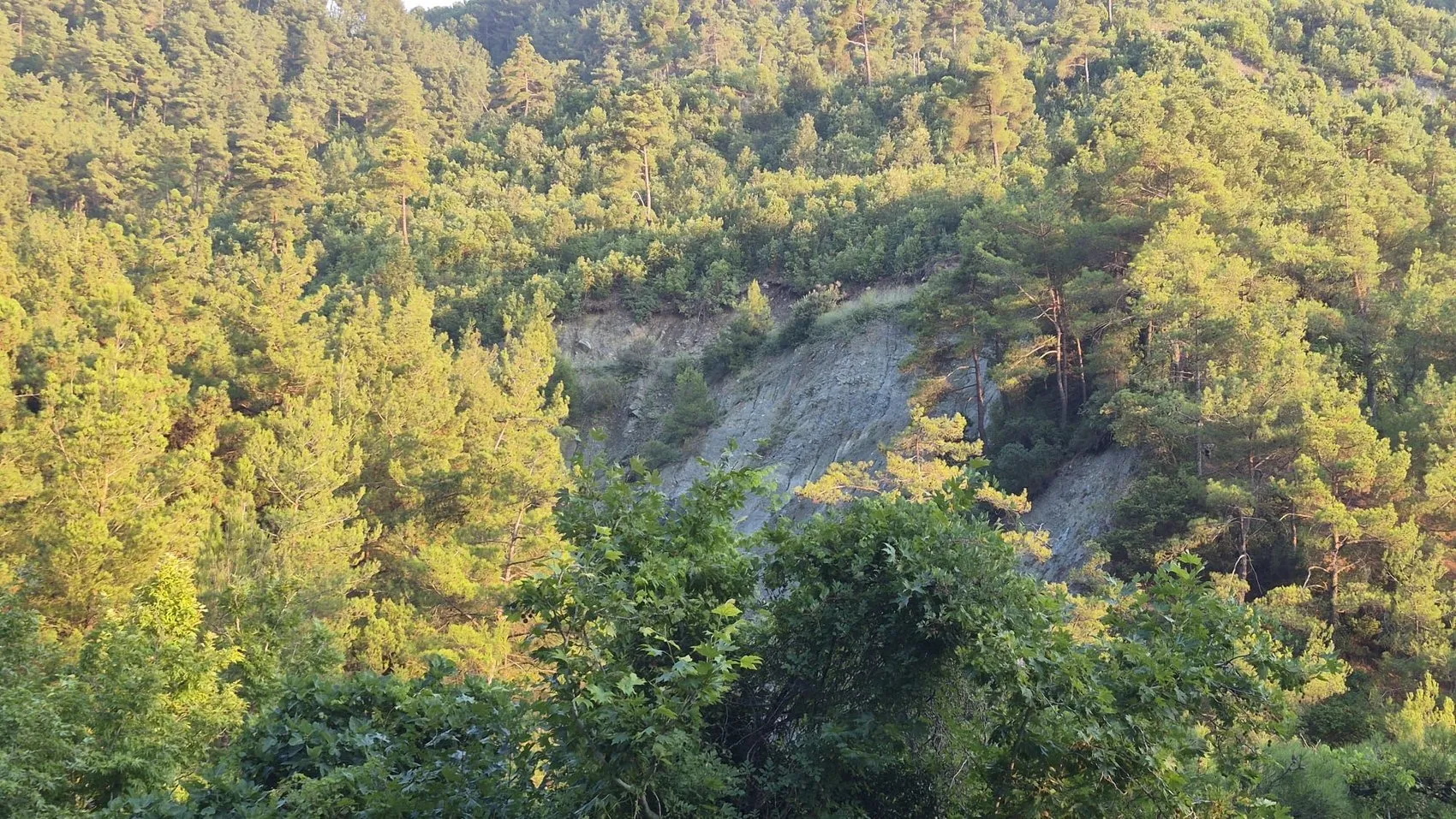 Osmaniye'de yayla yolunda kaza 1 can kaybı