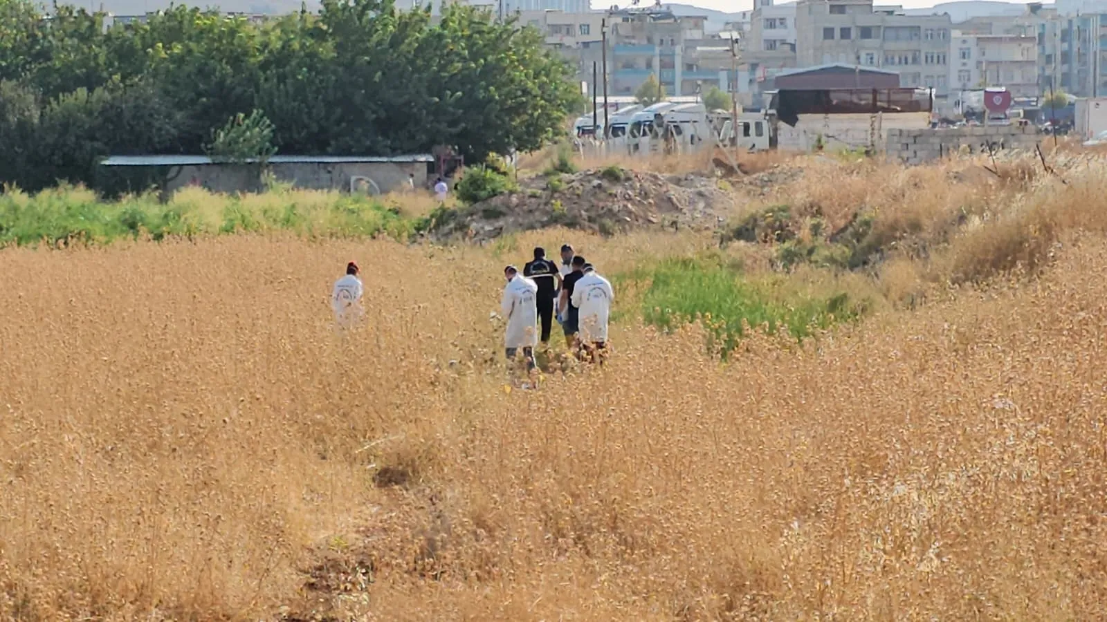 Şanlıurfa Yenice’de tarladan gelen koku korkunç gerçeği ortaya çıkardı