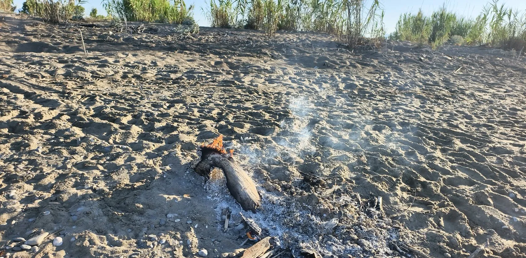 Antalya sahillerinde yakılan ateş yavru caretta carettayı öldürdü
