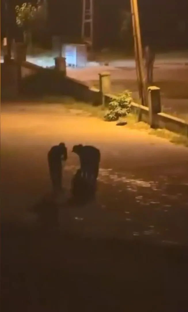 Bahçeşehir'de yürürken otomobilden açılan ateşle yaralandı