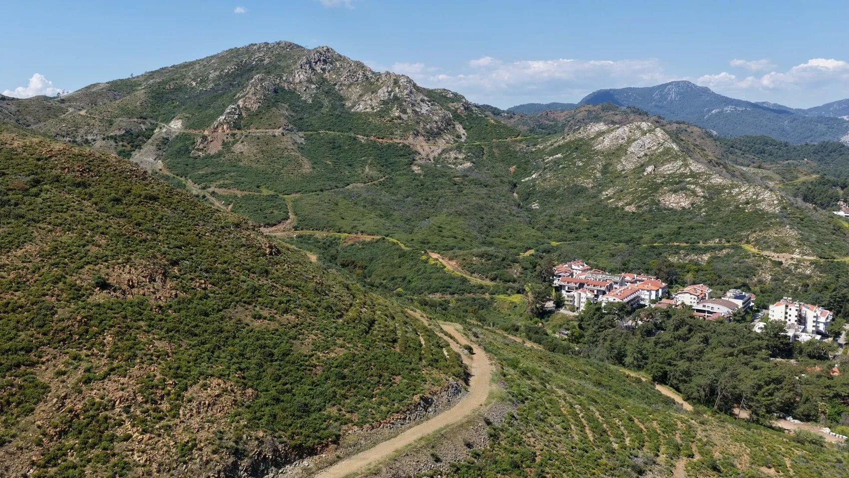 Muğla ormanları 5 yıl sonra küllerinden yeniden doğdu