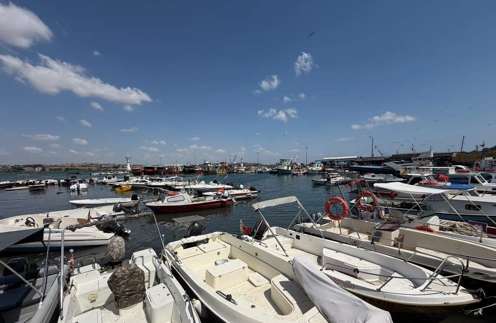 Tekirdağ'da sert rüzgar günlük hayatı durdurdu
