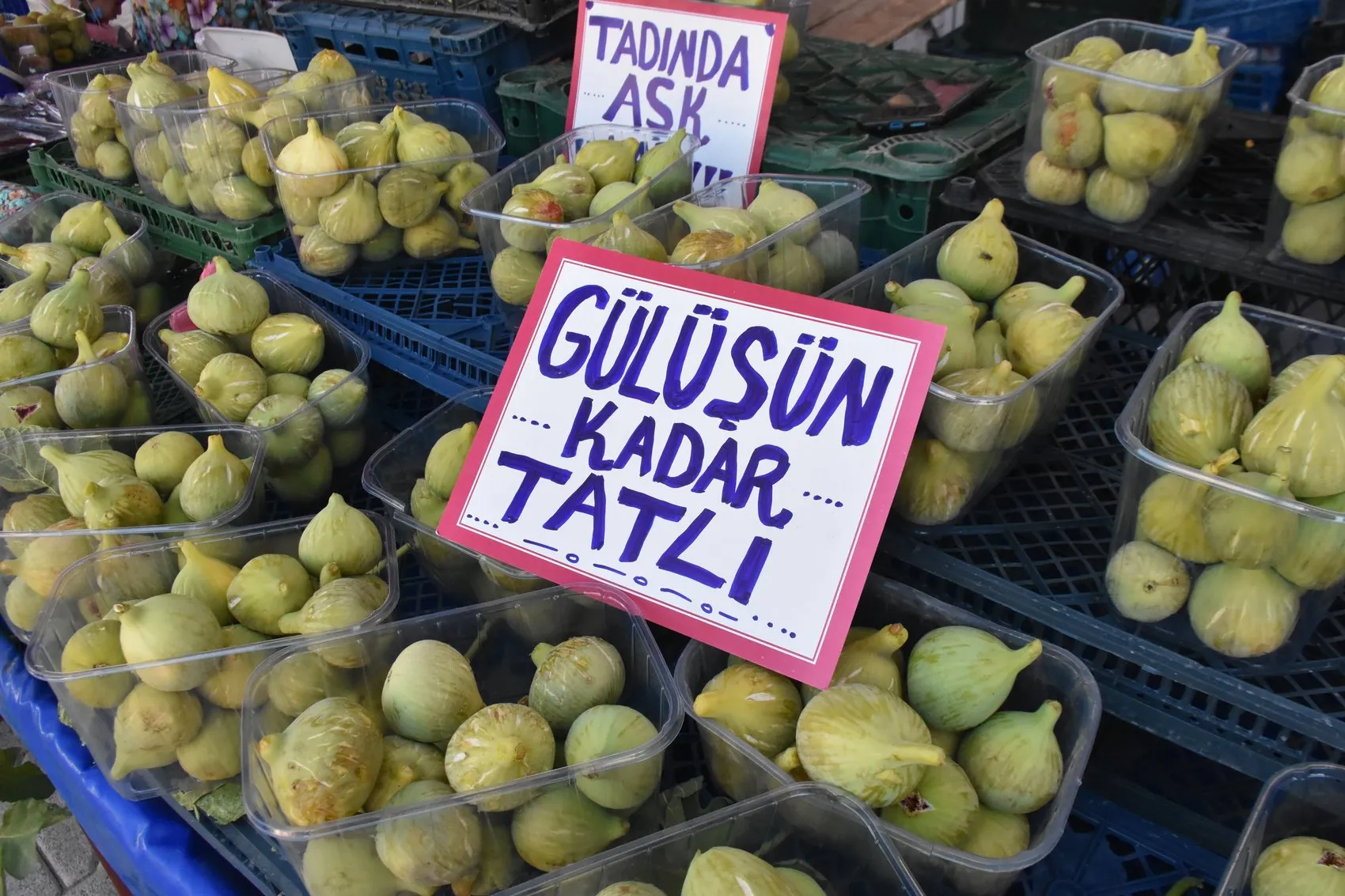 AK Parti'li İnan'dan Menemen'de sert cevap Milletin iradesine parmak sallayamazsın