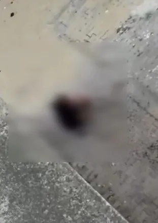 Zeytinburnu sokaklarında alkol kavgası Bir kişi yaralandı