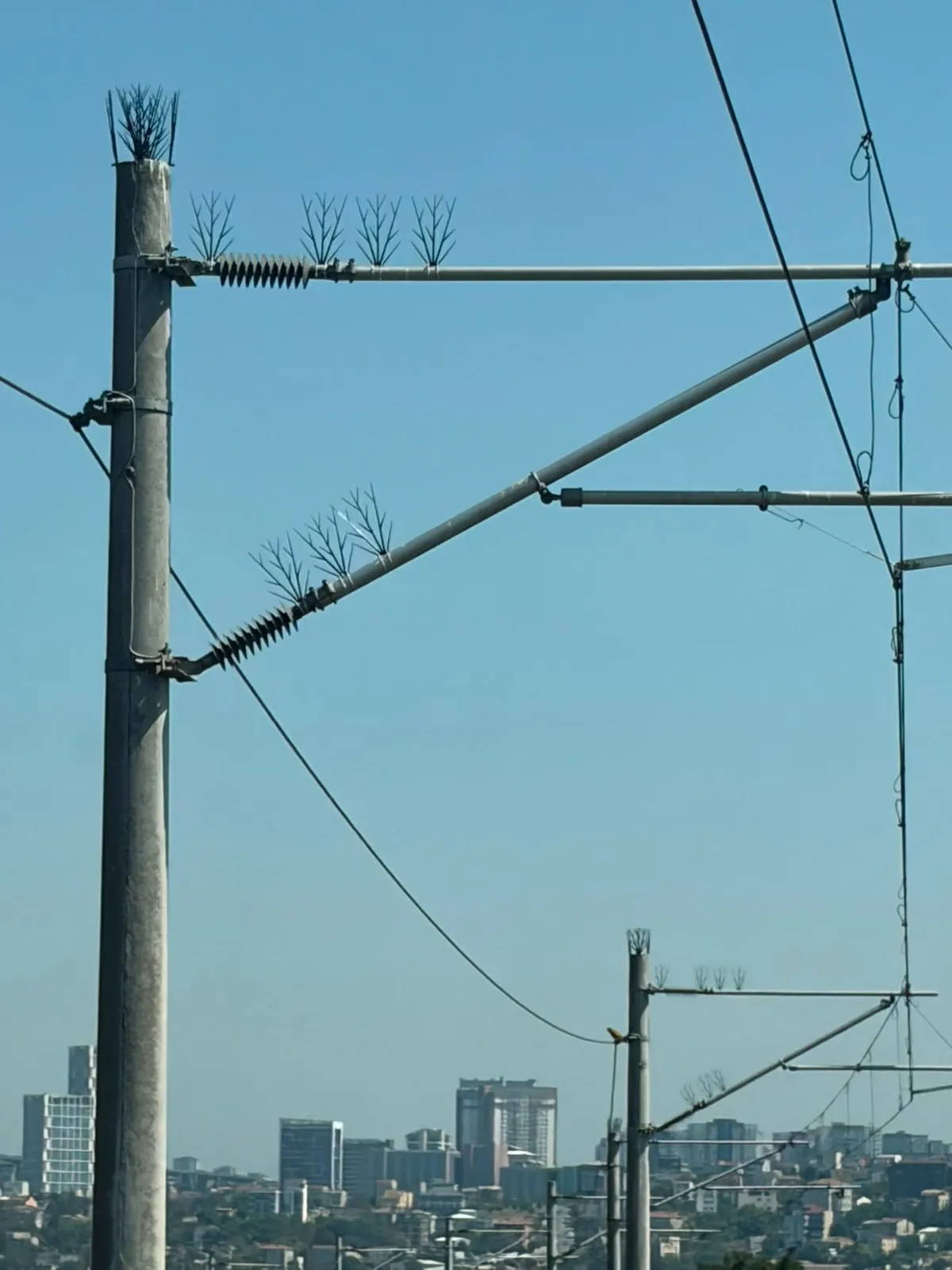 153 yıllık hatta leylekler için yeni önlem Elektrik direklerine özel aparat