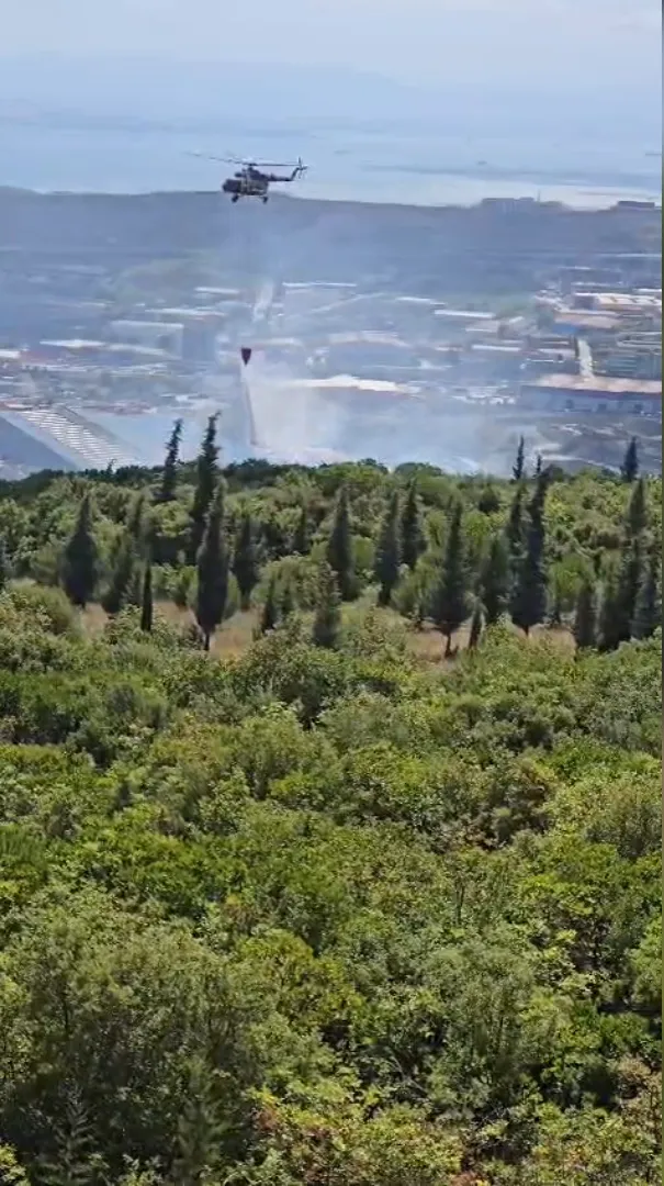 Dilovası'nda orman yangını paniği