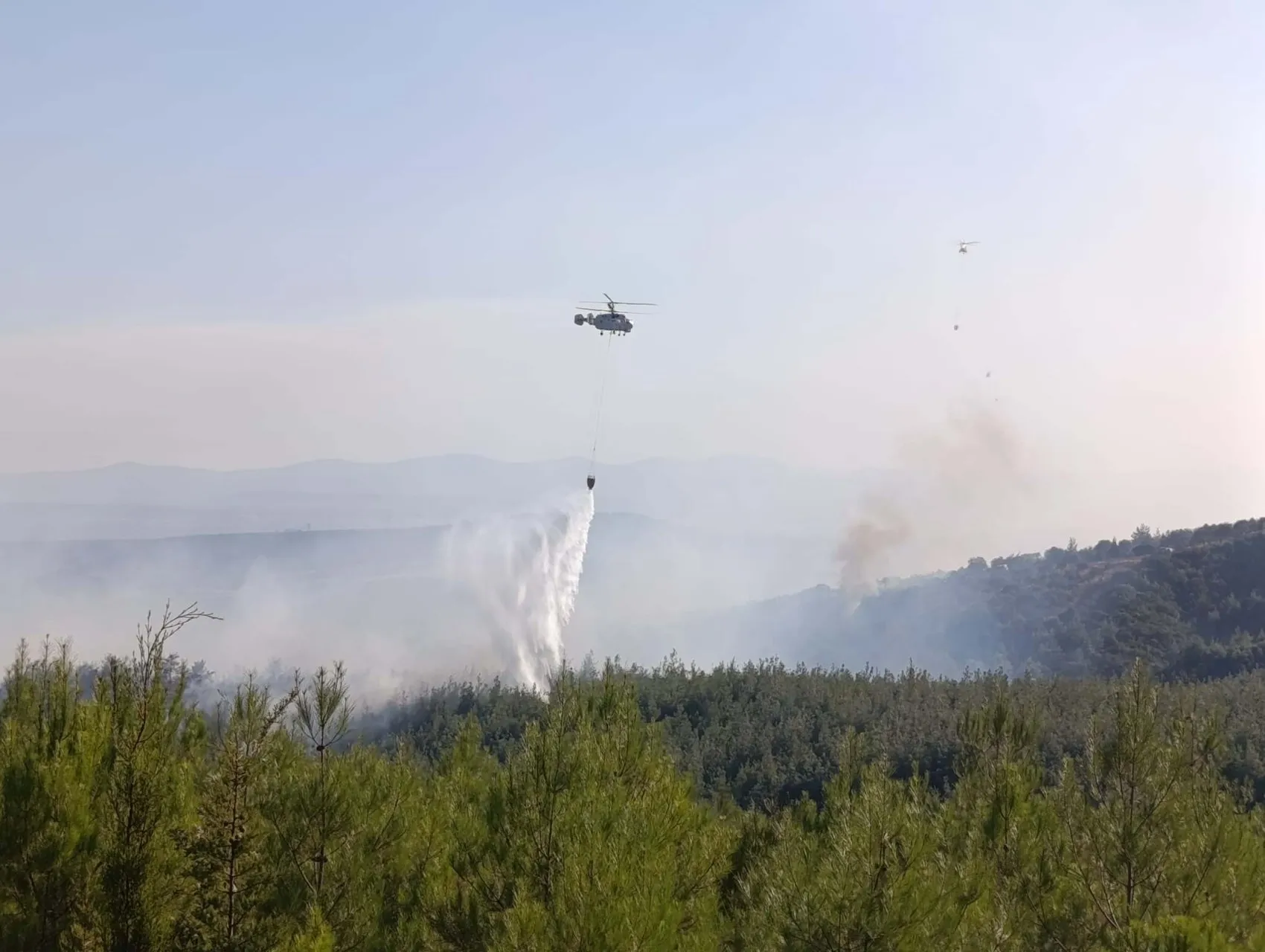 Çanakkale'de ormanlık alanda endişe veren alevler