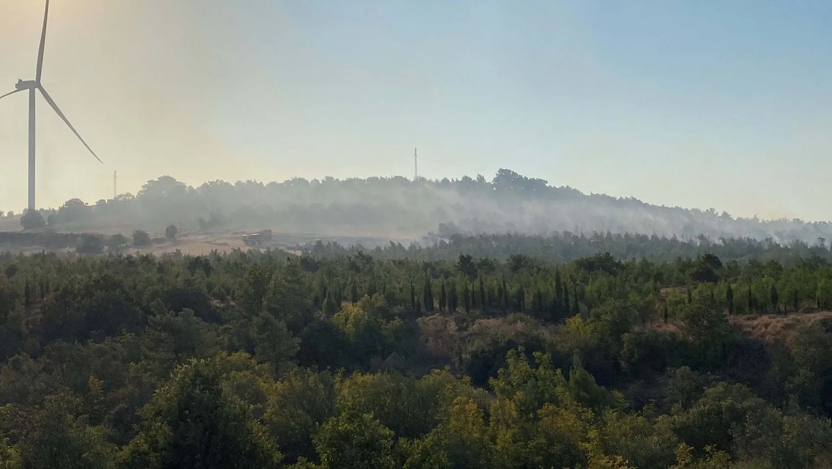 Çanakkale Bayramiç’te orman yangını alarmı
