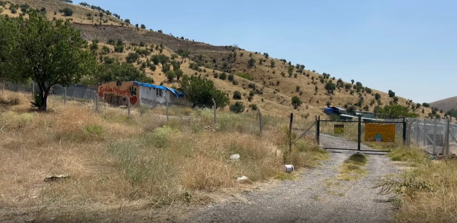 Sokak hayvanları derneği başkanını öldüren kardeşi aranıyor