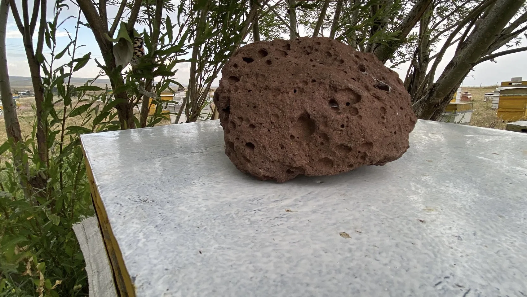 Karslı arıcılar fırtınaya karşı kovanlarını taşla korumaya aldı