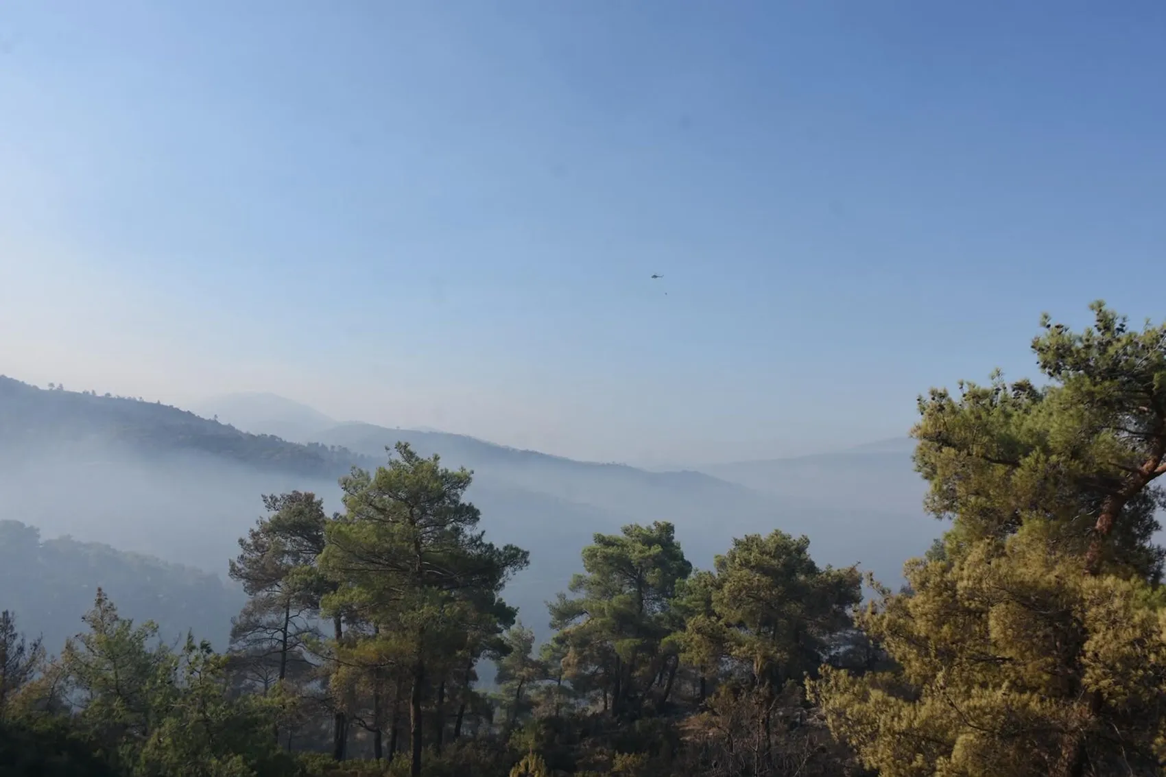Çine orman yangınında üçüncü gün mücadelesi
