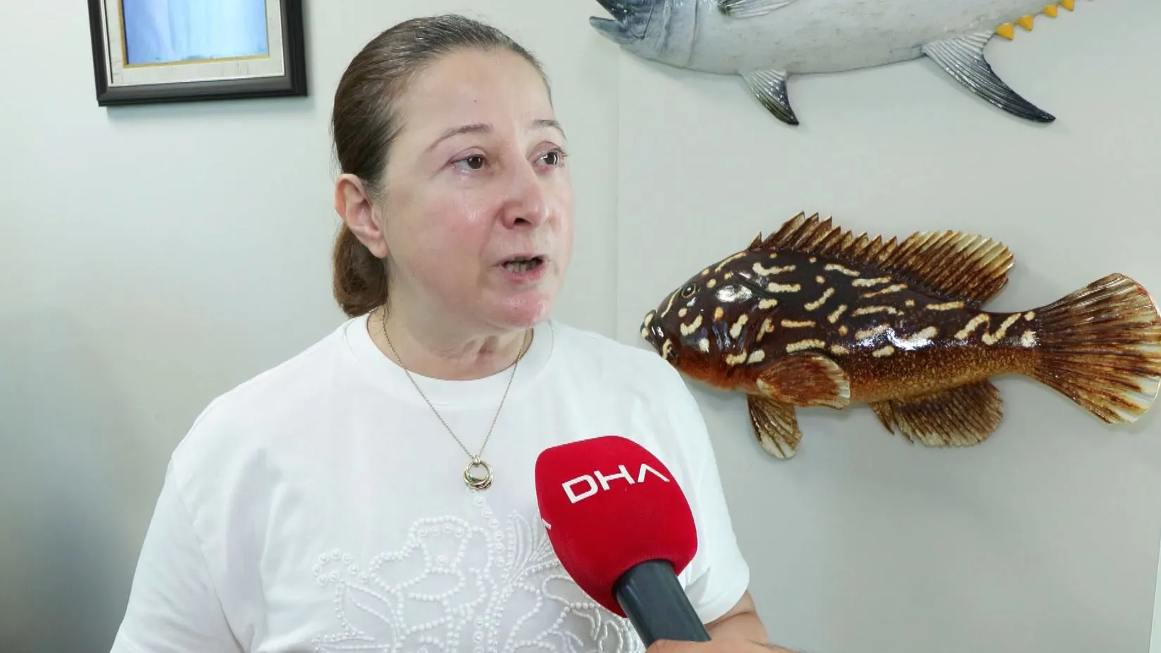 Yeni balık sezonunda palamut bereketi bekleniyor