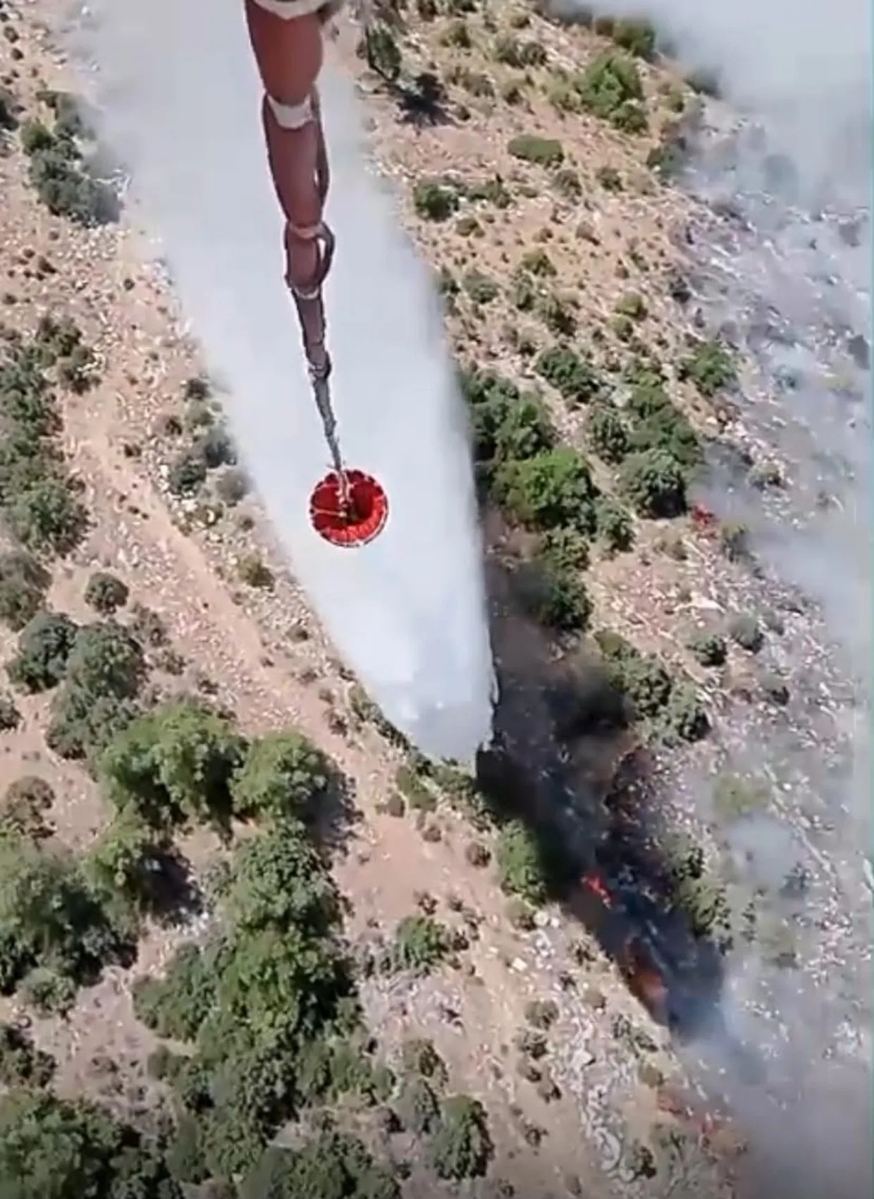 Kiraz'da alevler ormana sıçradı, 4 uçak 5 helikopter havadan müdahale ediyor