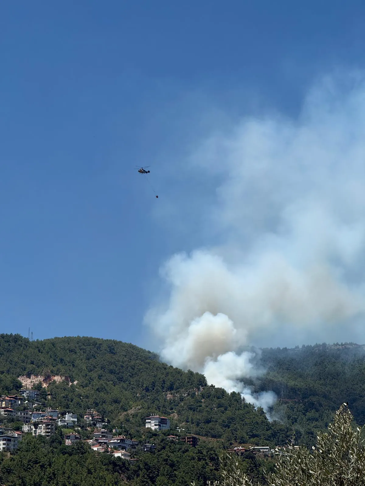 Alanya’da çıkan orman yangını üç saatte söndürüldü