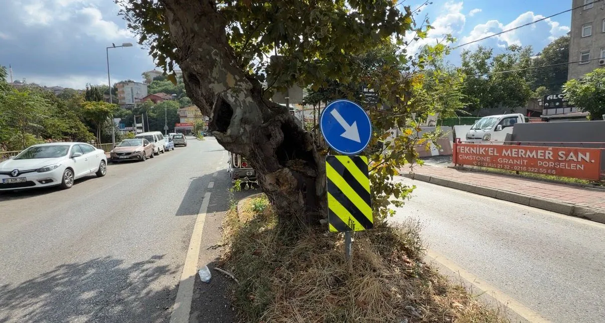 Beykoz'da motosiklet kazası: Sürücü yola savruldu, motor ağaçta asılı kaldı