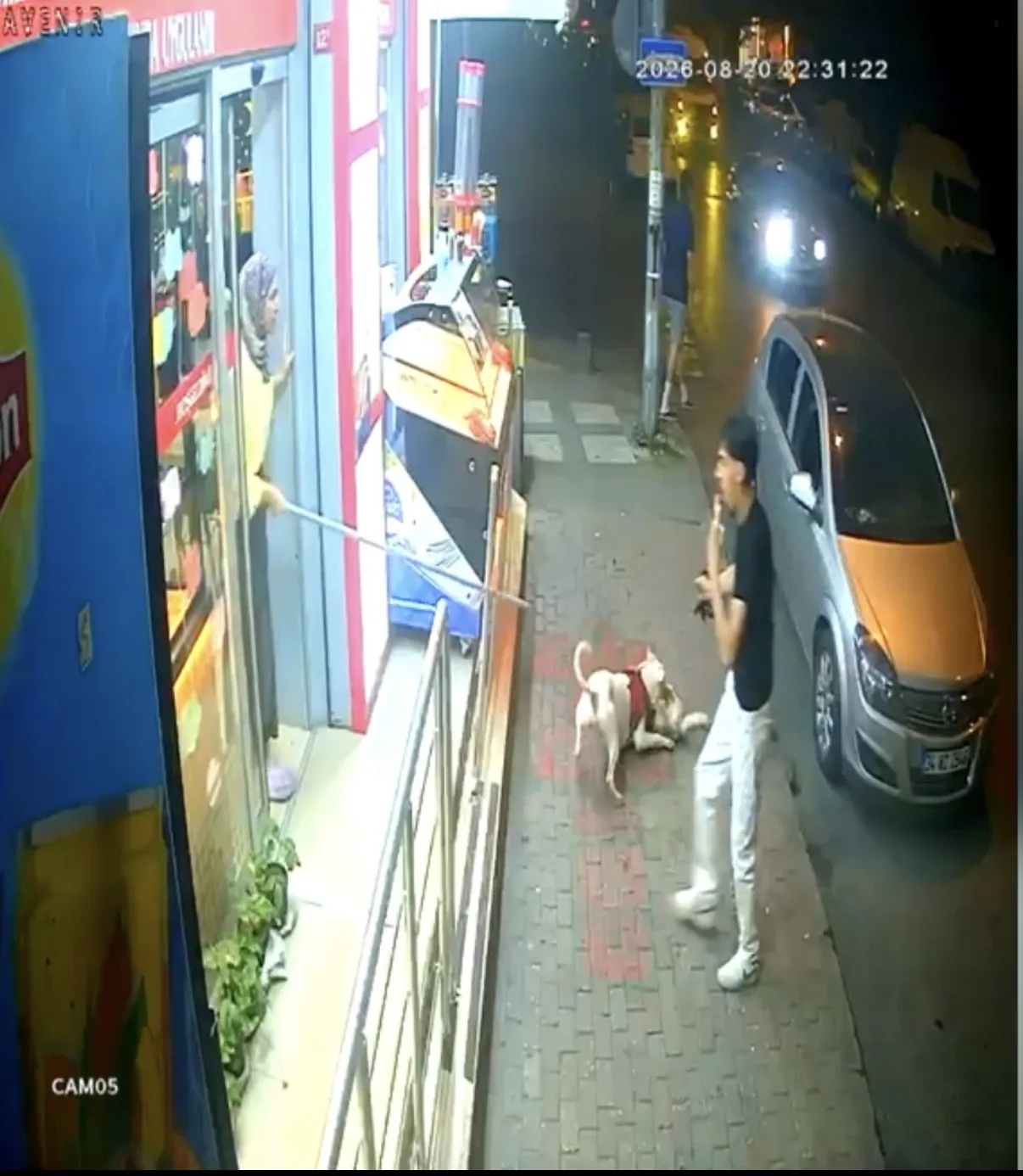 Bağcılar'da sorumsuz köpek sahibi mahalle kedisinin ölümüne neden oldu?