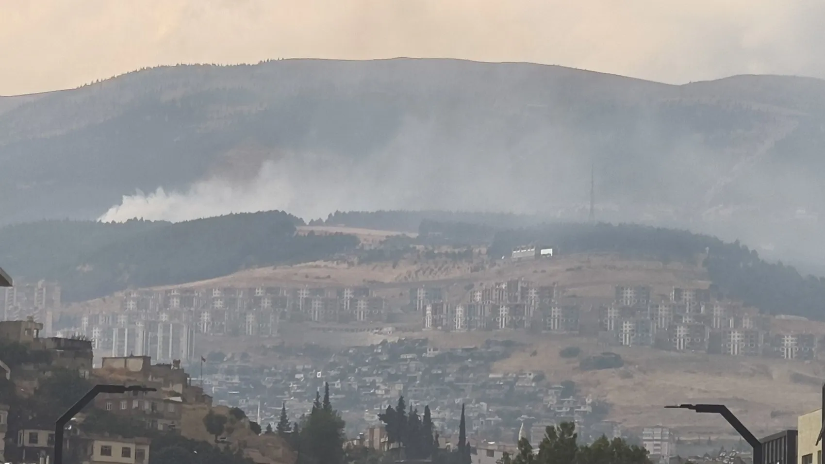 Ahır Dağı'nda alevlere havadan ve karadan müdahale