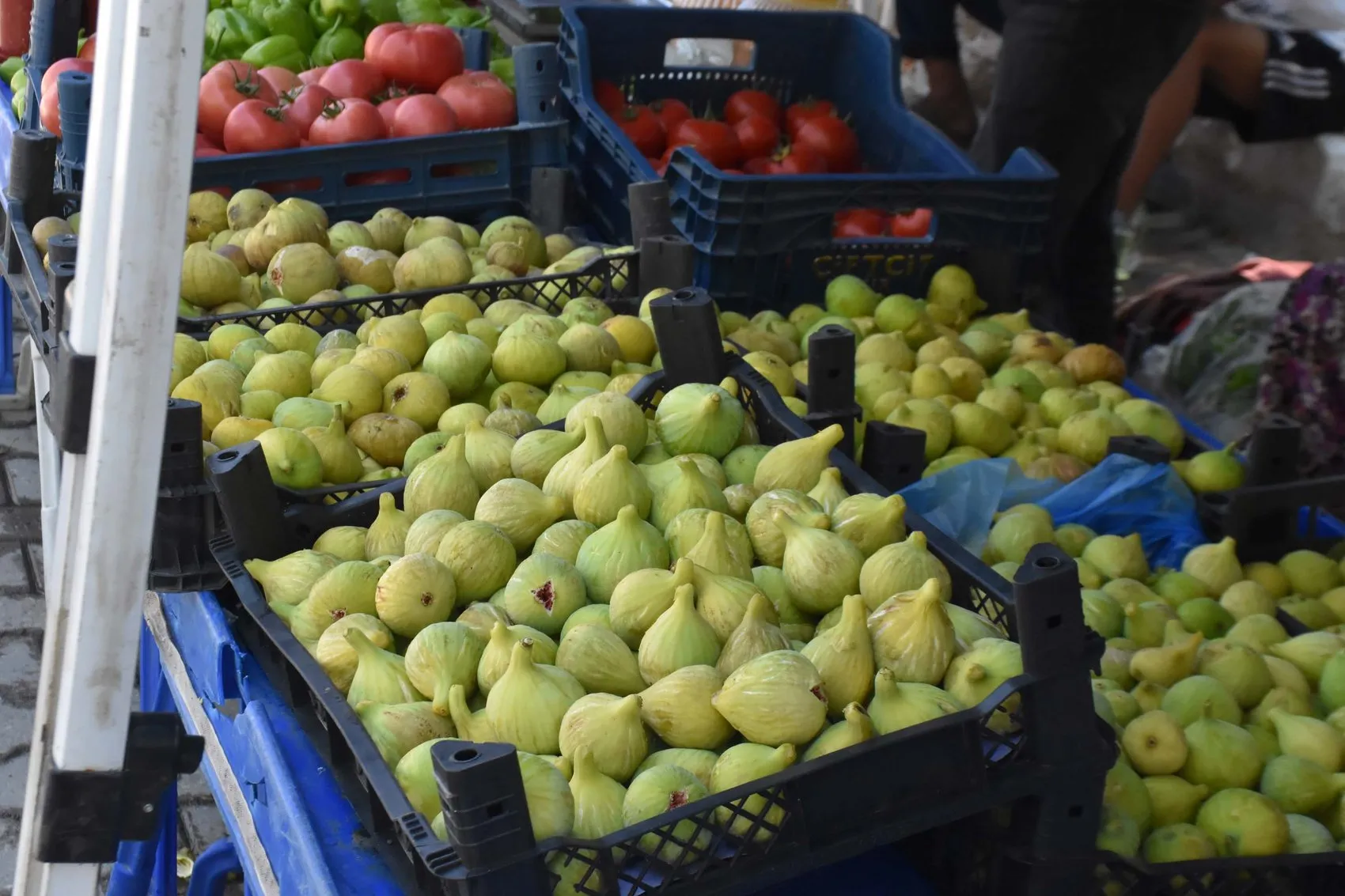 İzmir'de incir şöleni Bardacık üreticisiyle buluştu