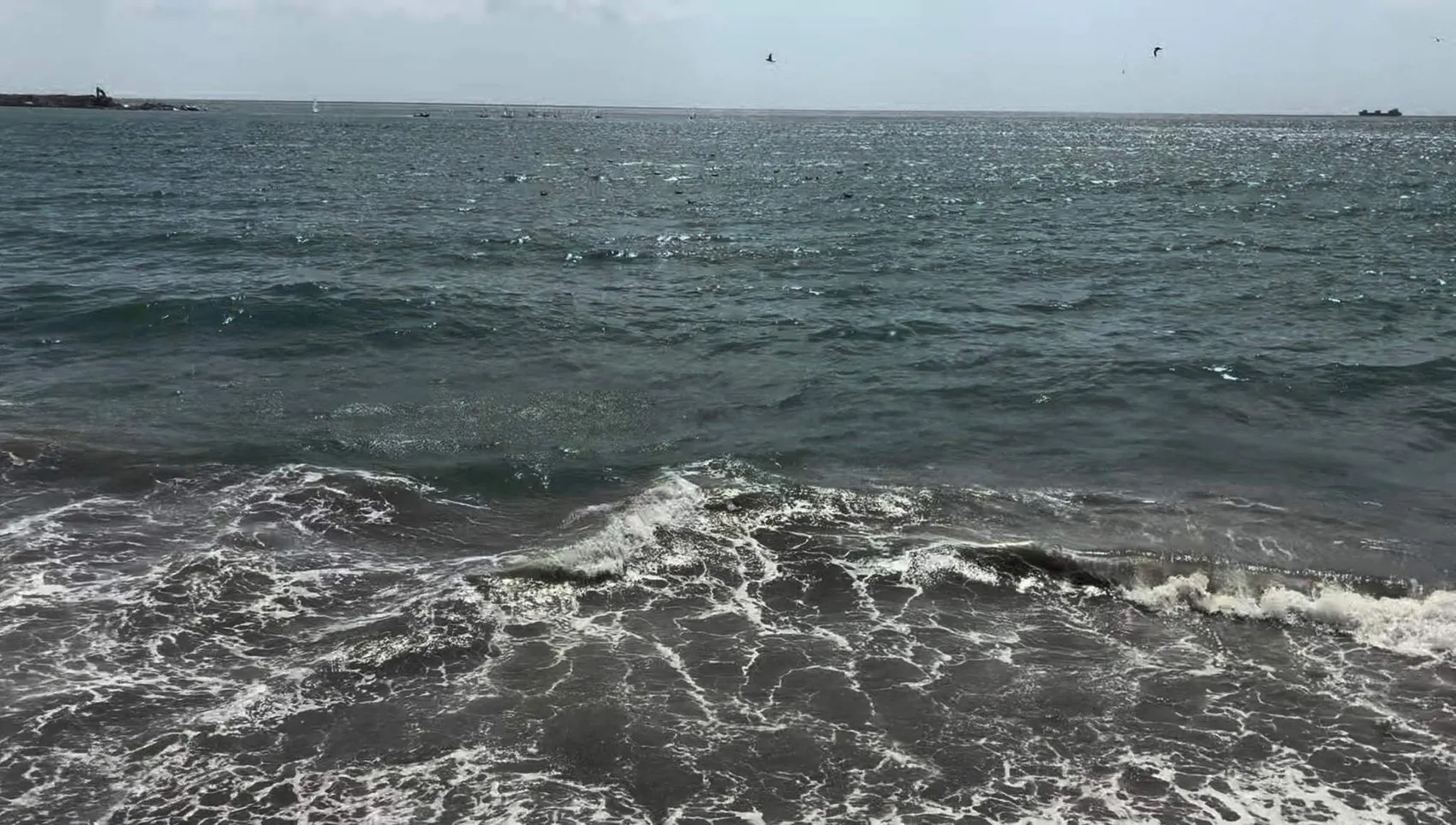 Tekirdağ'da sert rüzgar günlük hayatı durdurdu
