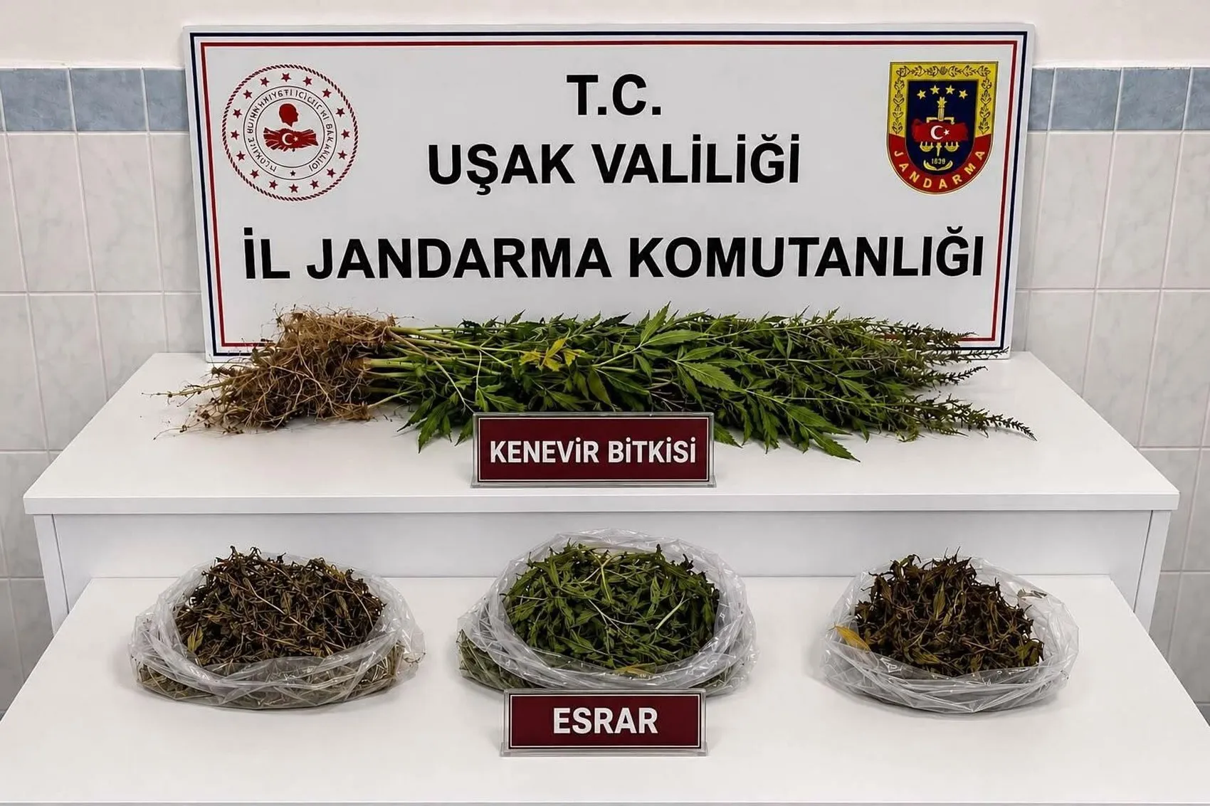 Uşak’ta jandarmanın baskınında yüklü miktarda kaçak ürün yakalandı