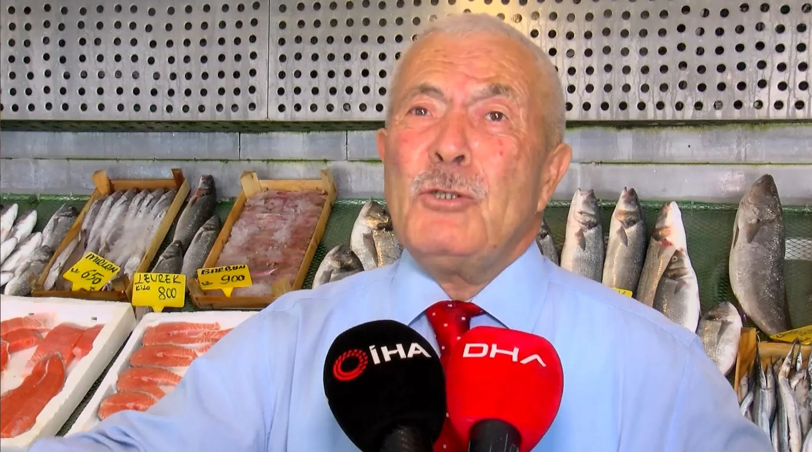 Denizlerden gelen ilk işaretler bu yıl balığın bol olacağını gösteriyor