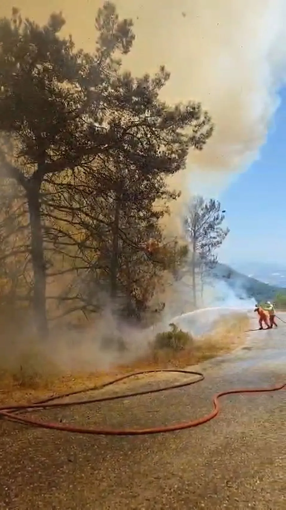 Alanya ormanlarında öğle saatlerinde yangın paniği