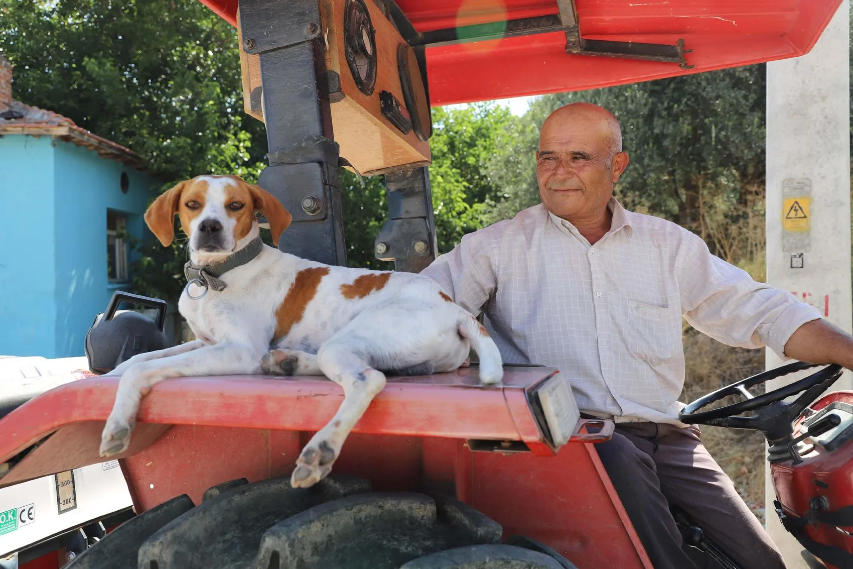 Sokaktan kurtardığı köpeğiyle tarlada mesai arkadaşı oldu