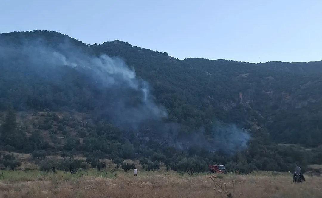 İslahiye ormanlarında kısa süreli yangın paniği