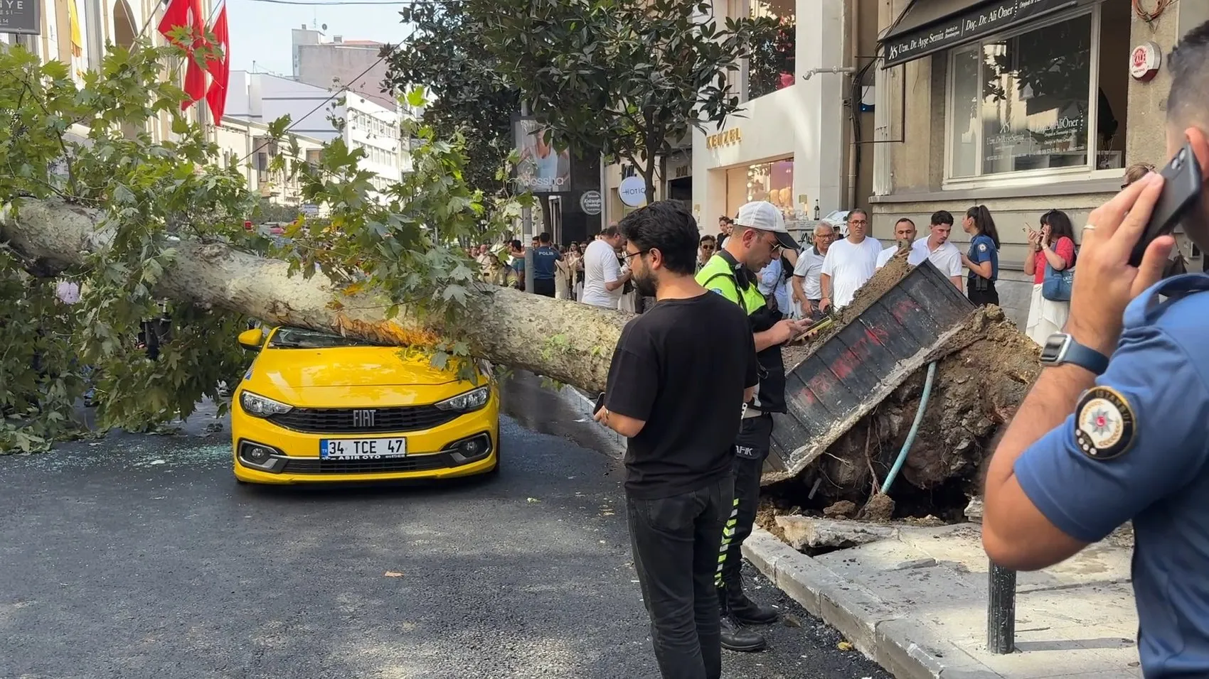 Şişli'de kaldırım ağacı park halindeki iki aracın üstüne devrildi