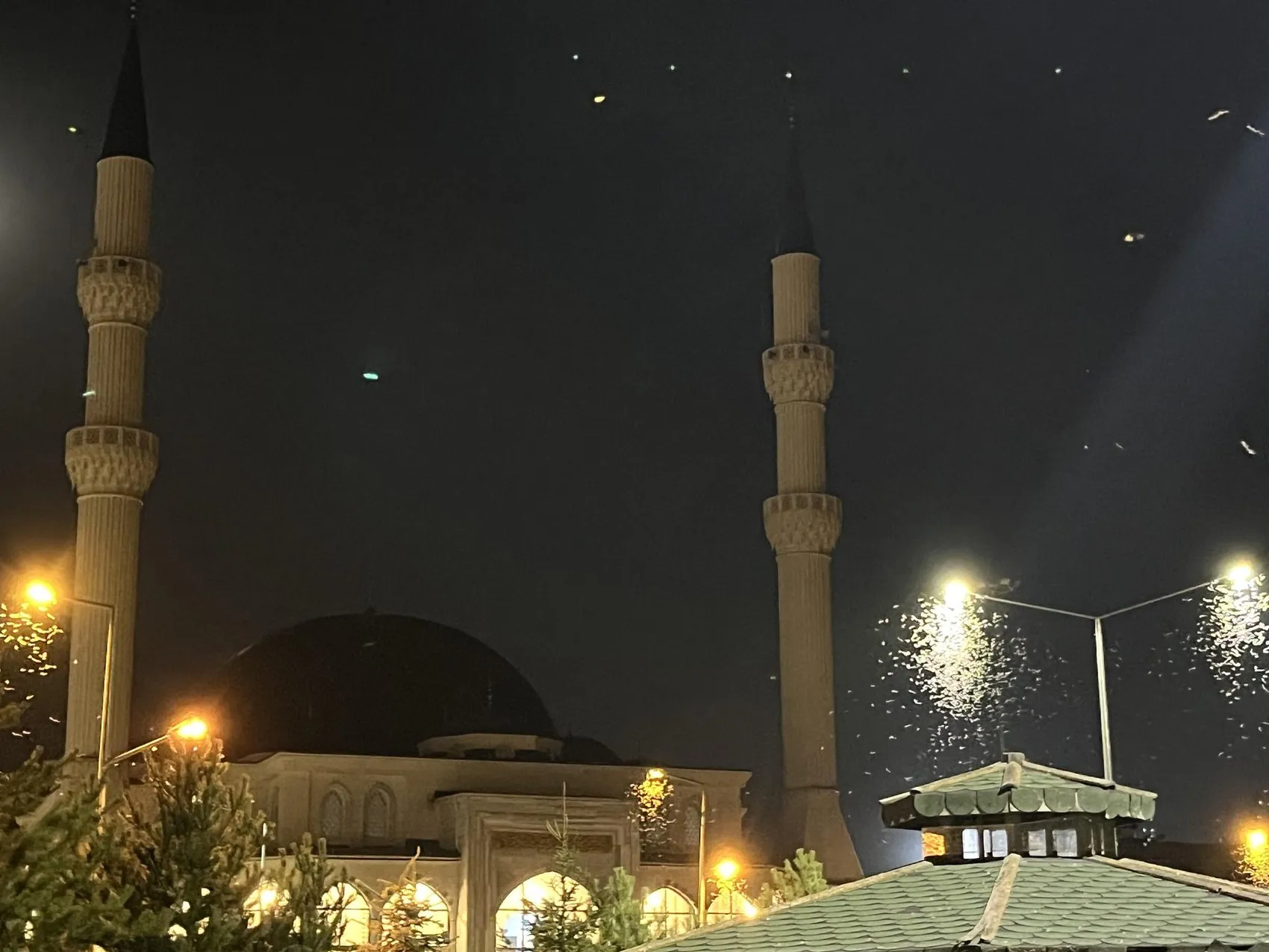 Ardahan'da beyaz kelebeklerin ışıkla imtihanı