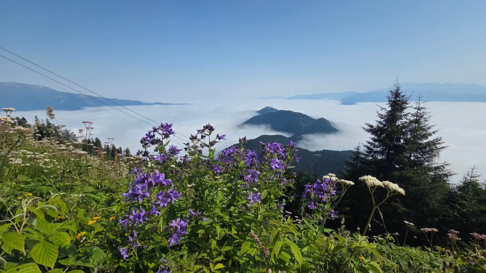 Artvin’in zirvelerinde oluşan dev sis denizi görüntülendi