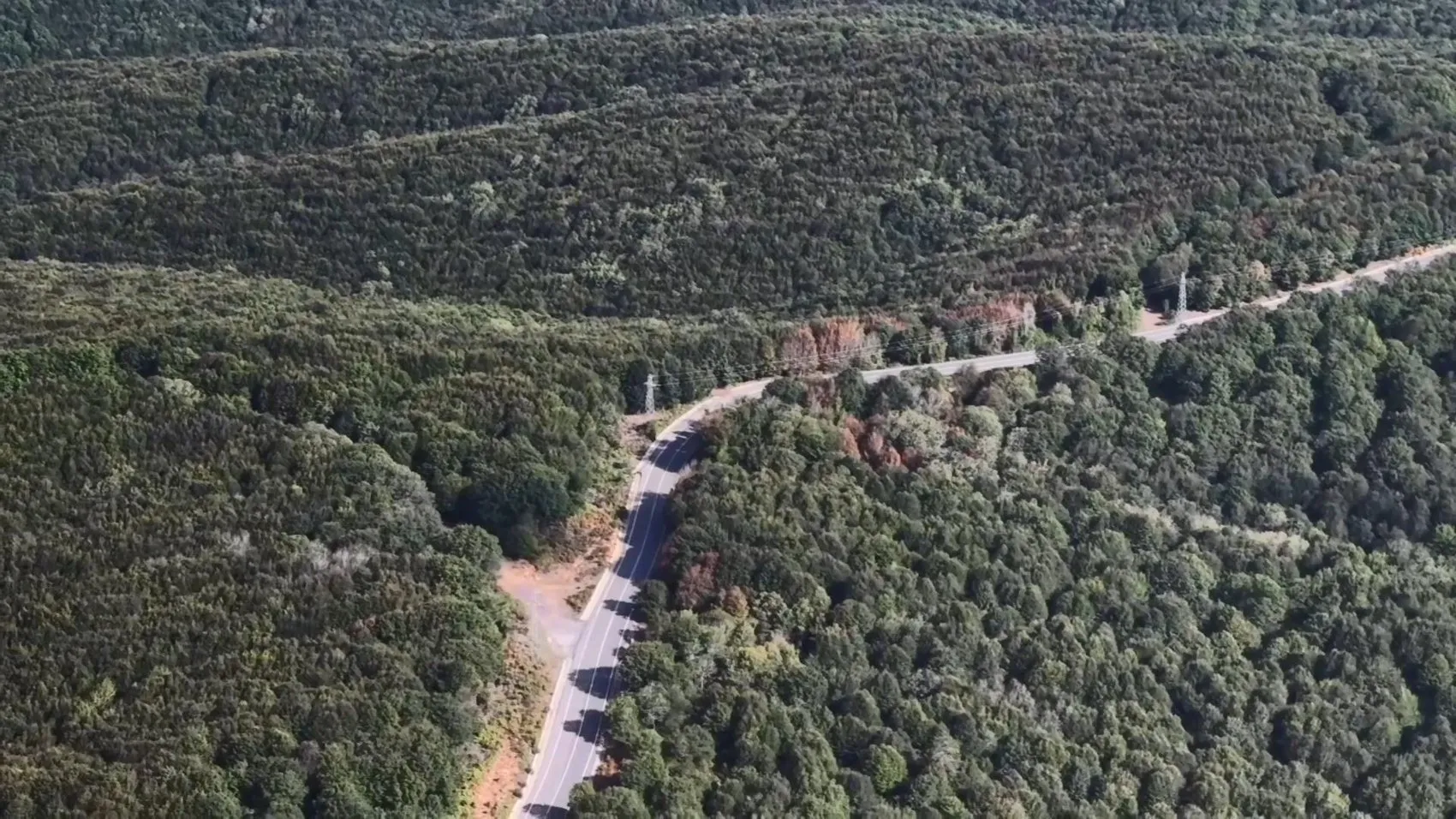 Şile'nin ölüm virajı yine can aldı: 30 yaşındaki sürücü kurtarılamadı