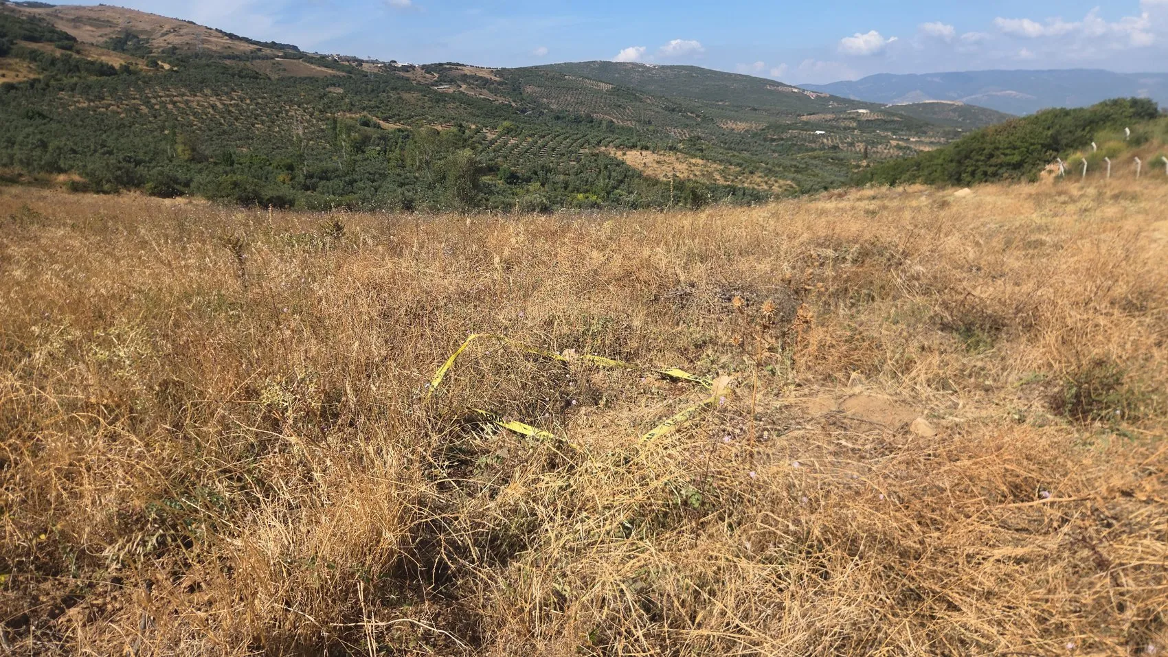 Tarlanın yanı başında asırlık tehlike: 129 yıllık mühimmatlar bulundu