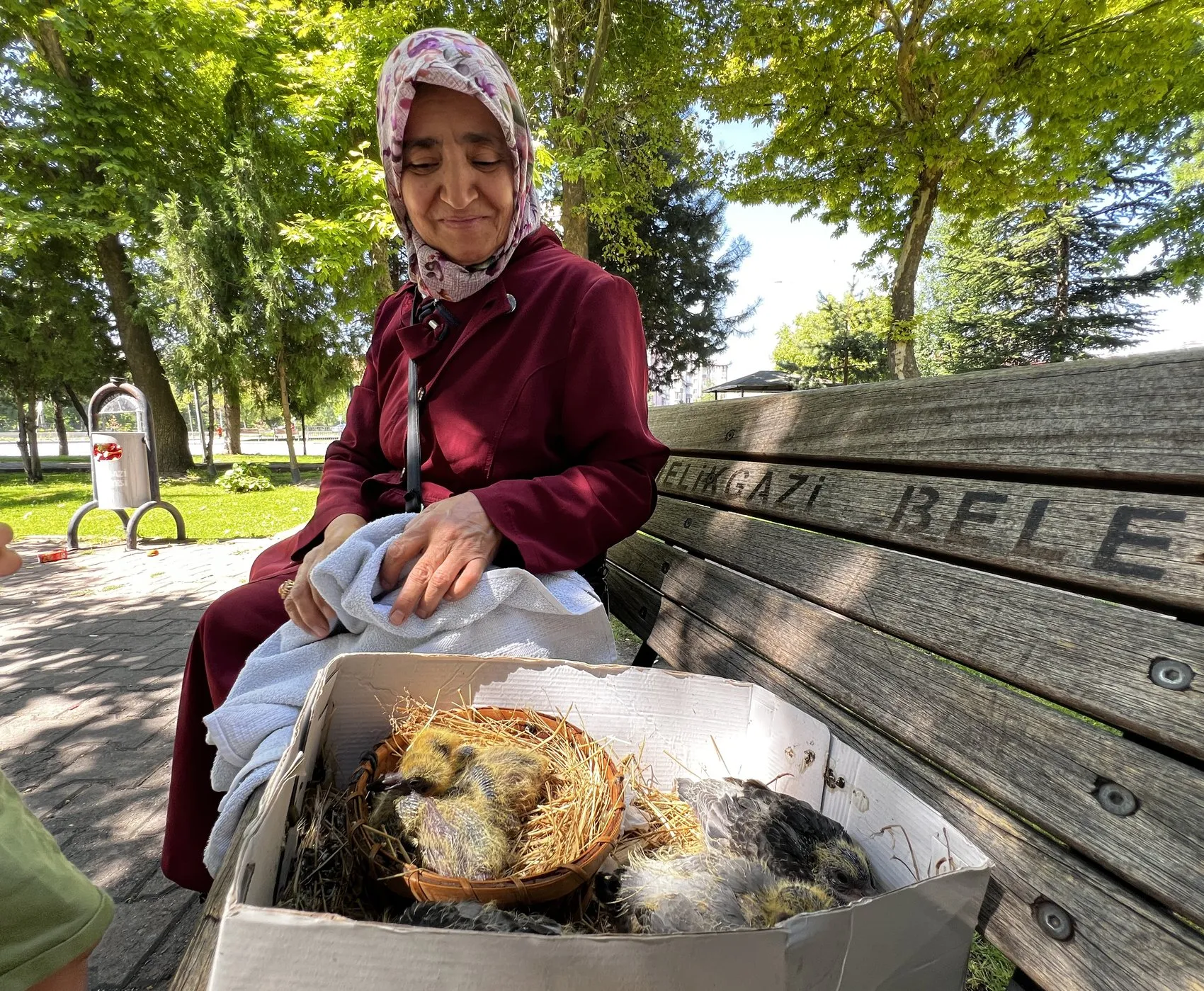 Kayserili kadından örnek duyarlılık 5 güvercin yavrusunu kurtardı