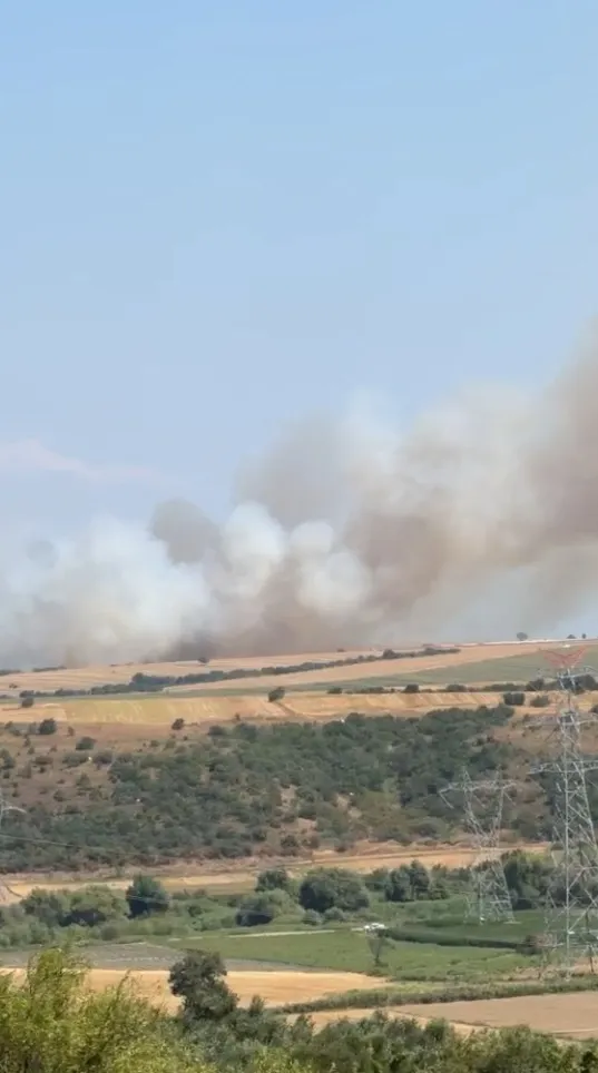 Karacabey'de korkutan maki yangını kontrol altına alındı