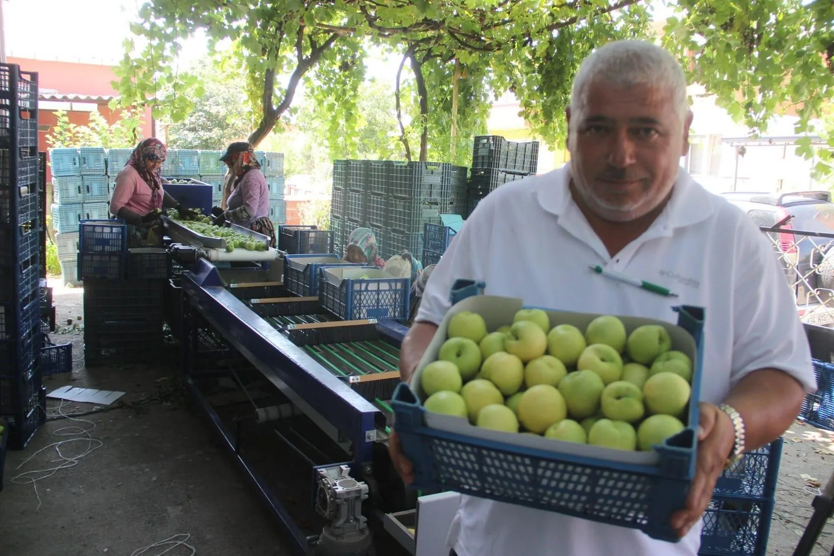 Kazdağları’nın meşhur nektarinde hasat zamanı
