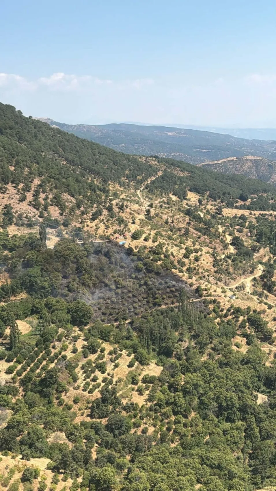 Kuyucak’ta kestane bahçeleri küle döndü