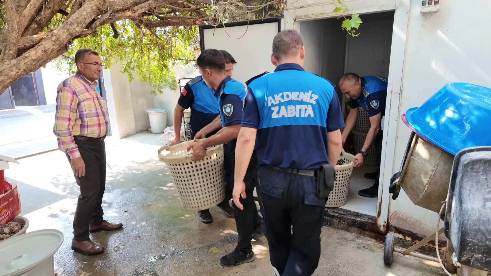 Mersin'de zehirli midye operasyonu