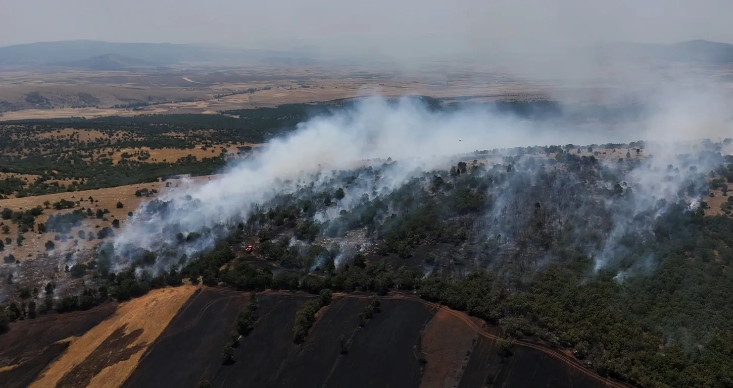 Kütahya’da tarladan ormana sıçrayan yangın kontrol altına alındı