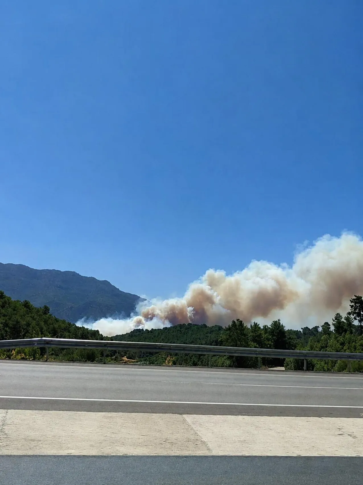 Saklıkent Kanyonu'nda alevler sınır tanımadı Kaş'taki ormanlık alan küle döndü