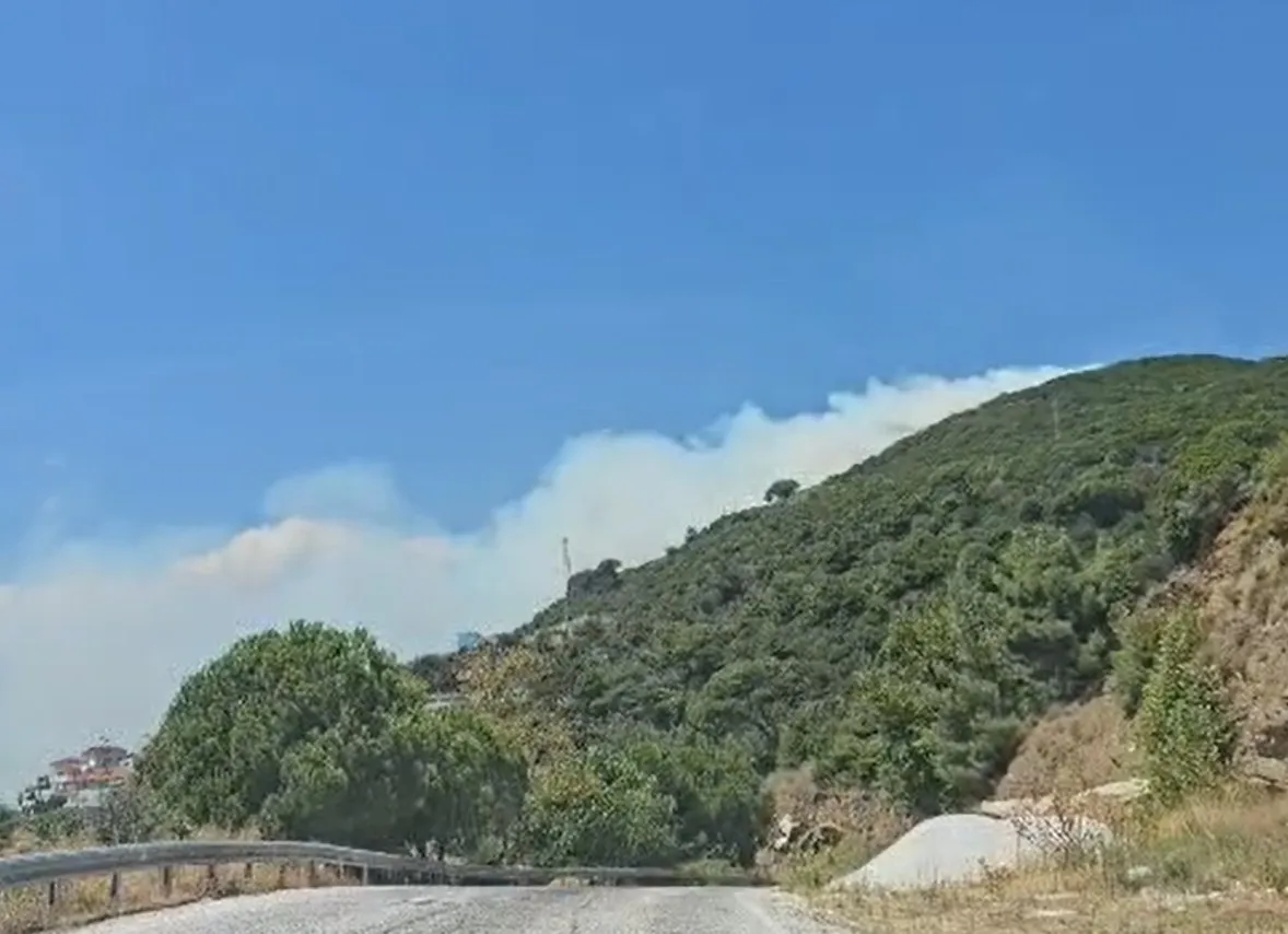 Marmara Adası alevlere teslim oldu