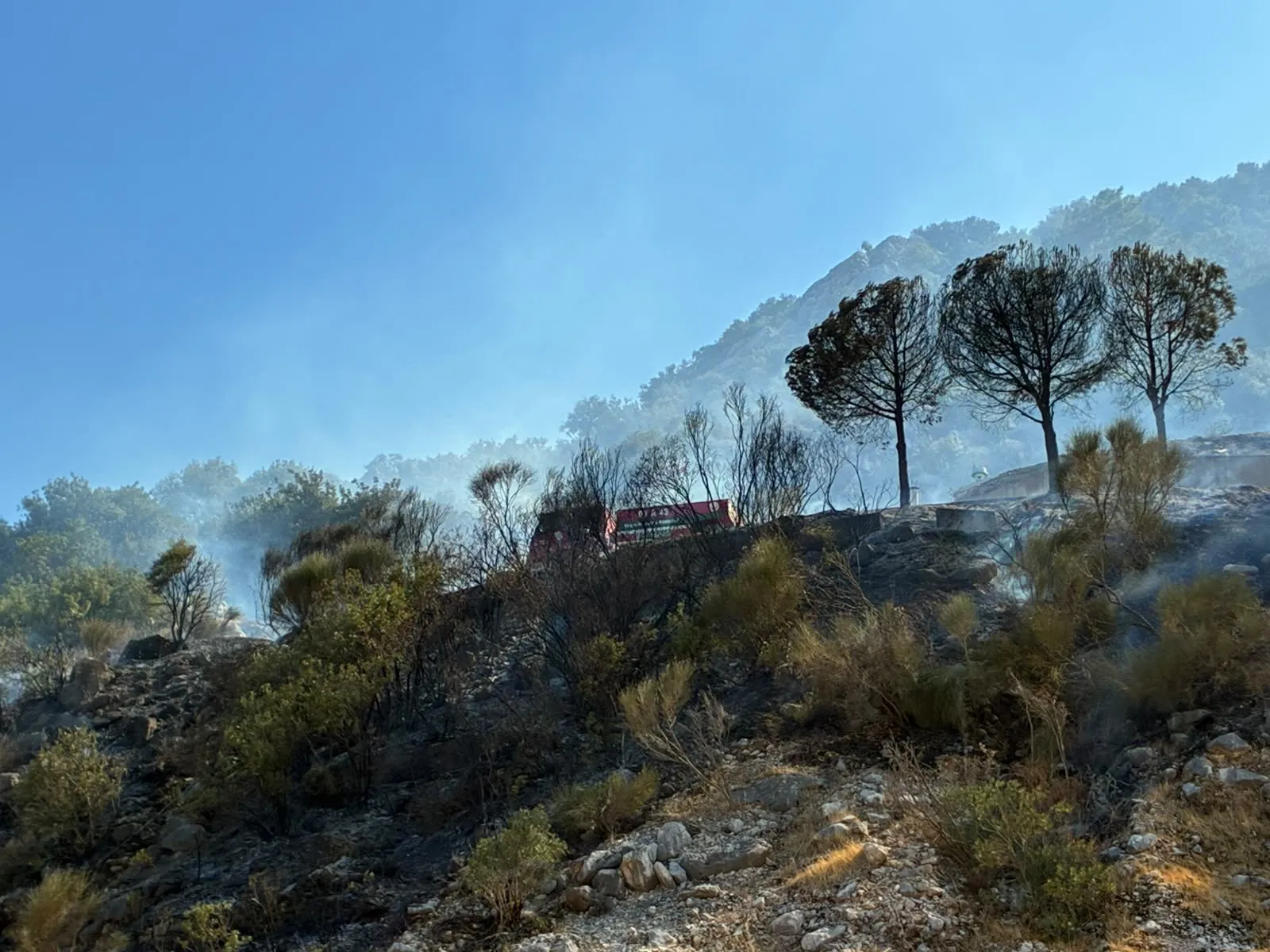 Antalya’da iki farklı noktada orman yangını paniği